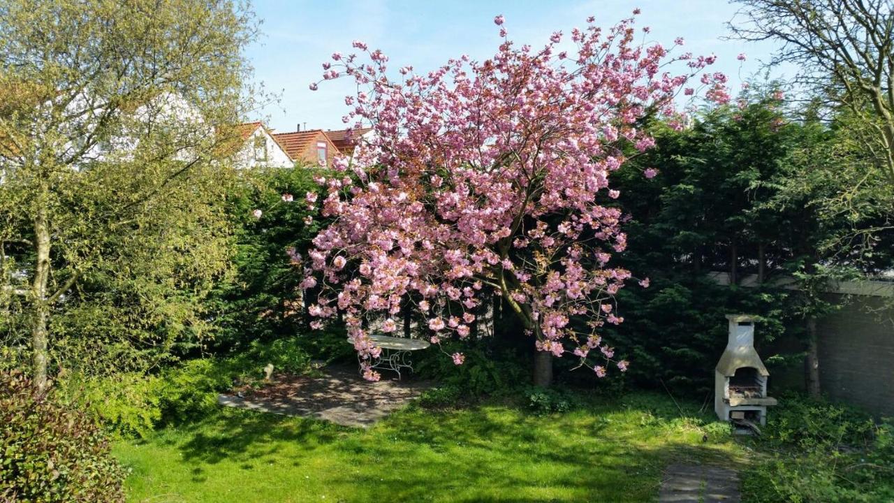 Kapiteinshuis Breskens Exteriér fotografie